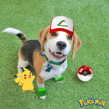 Photo Shoots at BLDHTX