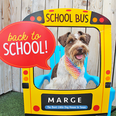 Photo Shoots at BLDHTX