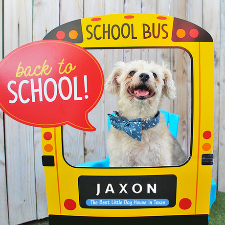 Photo Shoots at BLDHTX