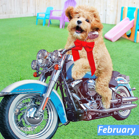 Photo Shoots at BLDHTX