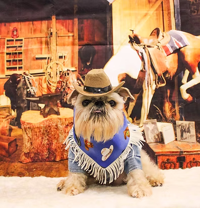 Photo Shoots at BLDHTX