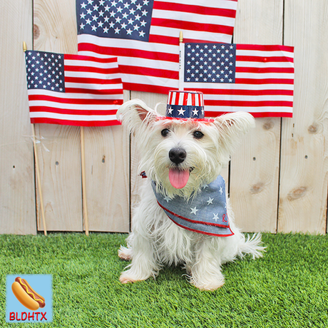 Daycare Events at BLDHTX