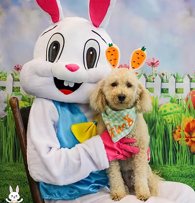 Photo Shoots at BLDHTX