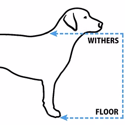 Dog Grooming at BLDHTX