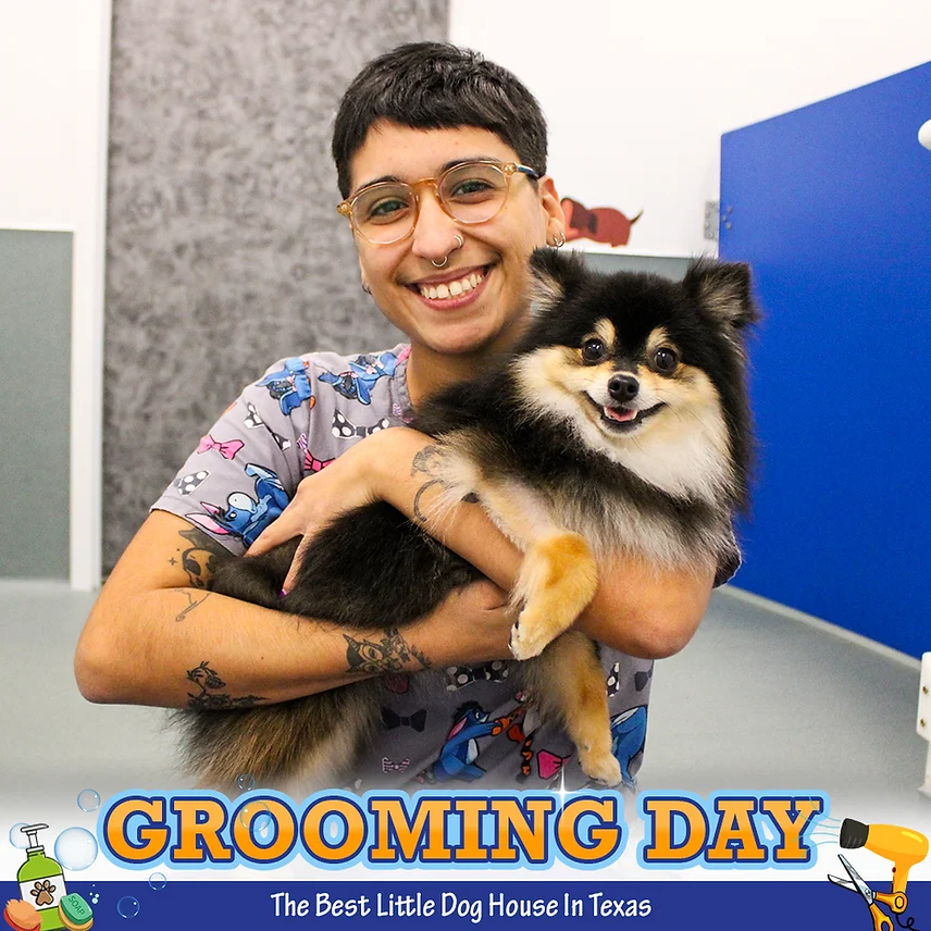 Dog Grooming at BLDHTX