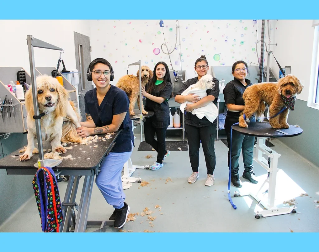 Dog Grooming at BLDHTX