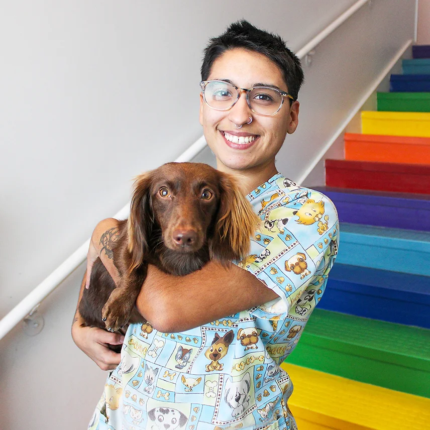 Dog Grooming at BLDHTX