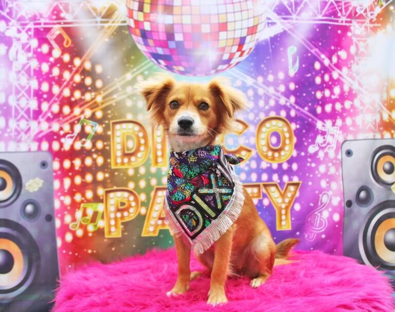 Birthday Party