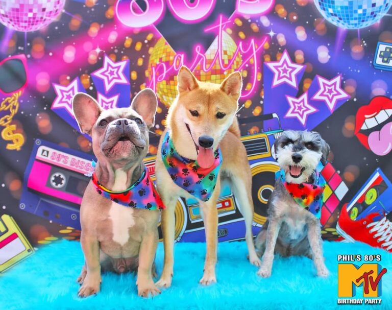 Birthday Party