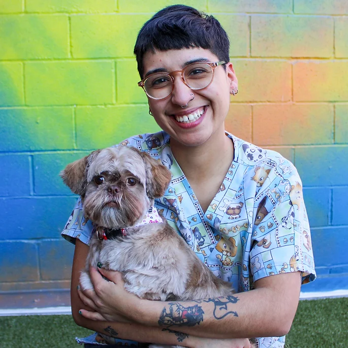 Dog Grooming at BLDHTX