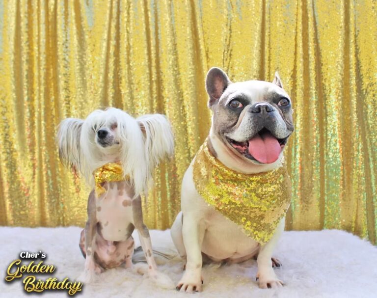 Birthday Party