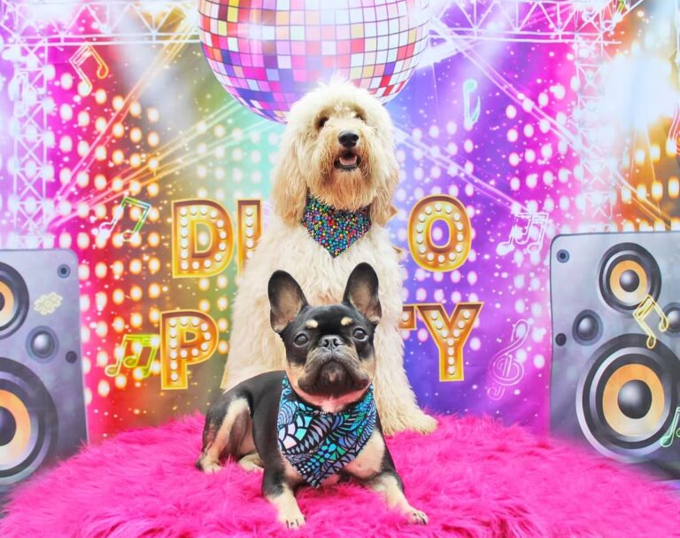 Birthday Party