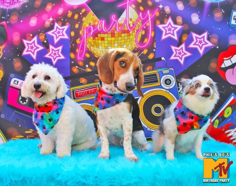 Birthday Party