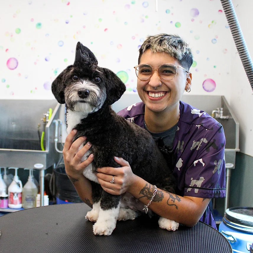 Dog Grooming at BLDHTX